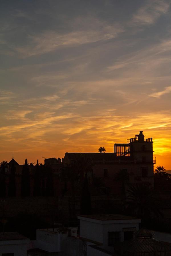 Jerez Centro 5 Dormitorios Terrazas Con Vistas Alcazar Y Plaza Arenal Jerez de la Frontera Eksteriør billede